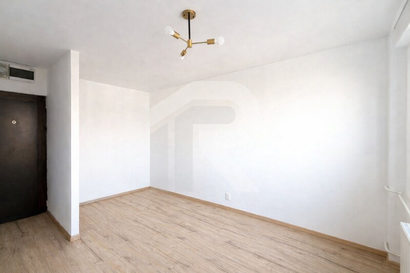 Teiul Doamnei nr. 108, de vanzare garsoniera, ideal investitie.